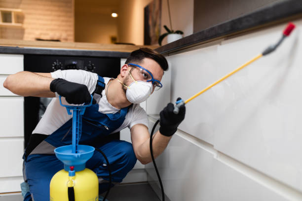 Wasp Removal Services in Clinton, UT