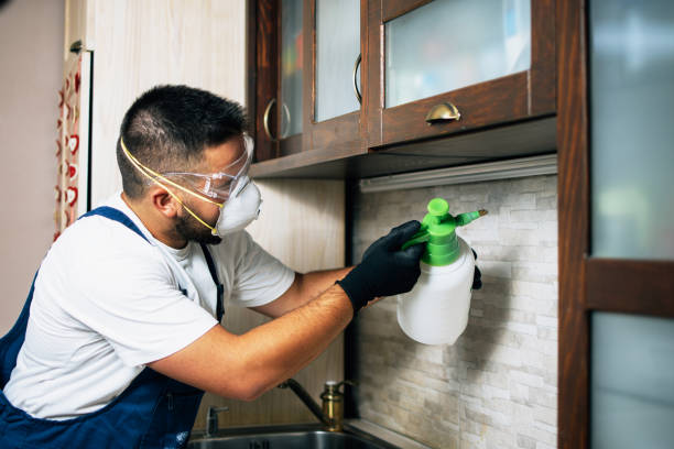 Best Pest Removal Services  in Clinton, UT