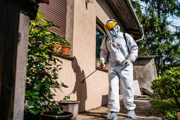 Best Termite Control Services  in Clinton, UT