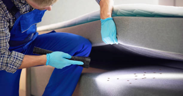 Best Pest Control Near Me  in Clinton, UT