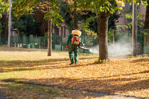 Best Residential Pest Control  in Clinton, UT