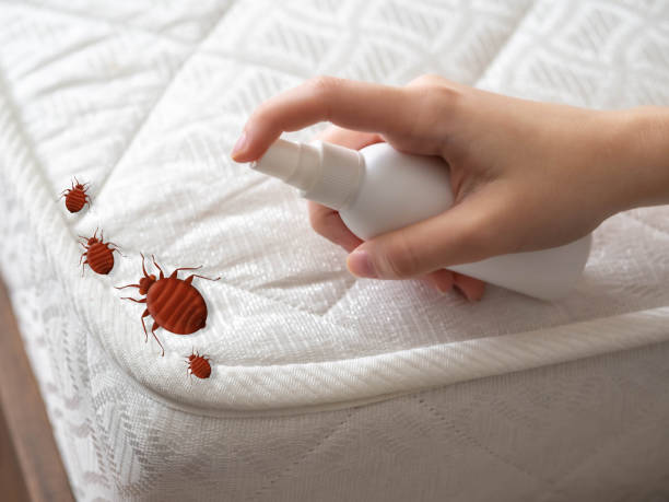 Best Affordable Pest Control Services  in Clinton, UT