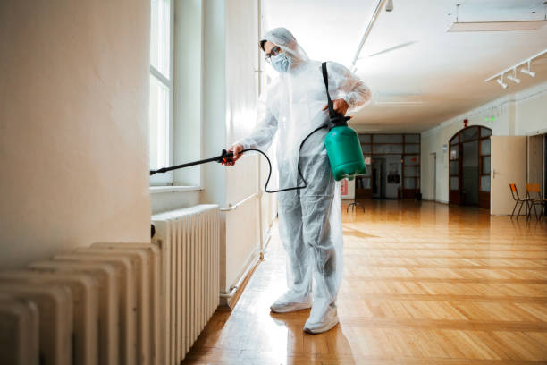 Best Local Pest Control Services  in Clinton, UT