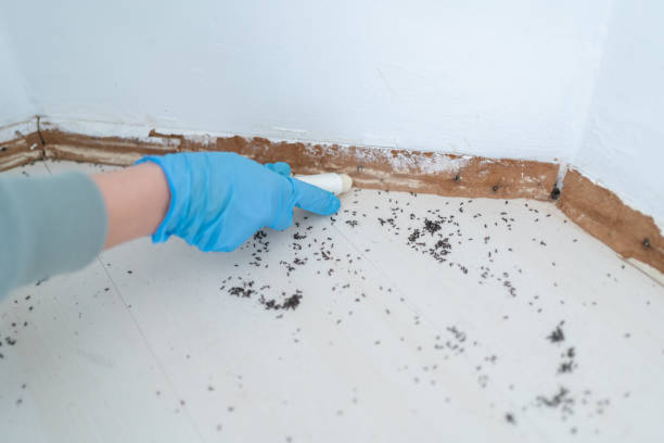 Best Pest Inspection Near Me  in Clinton, UT