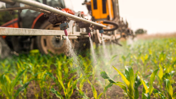 Pest Prevention Services in Clinton, UT